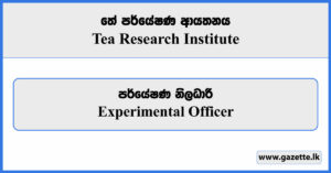 Experimental Officer - Tea Research Institute Vacancies 2023
