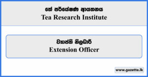Extension Officer - Tea Research Institute Vacancies 2023