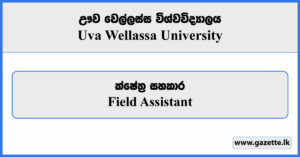 Field Assistant - Uva Wellassa University Vacancies 2024