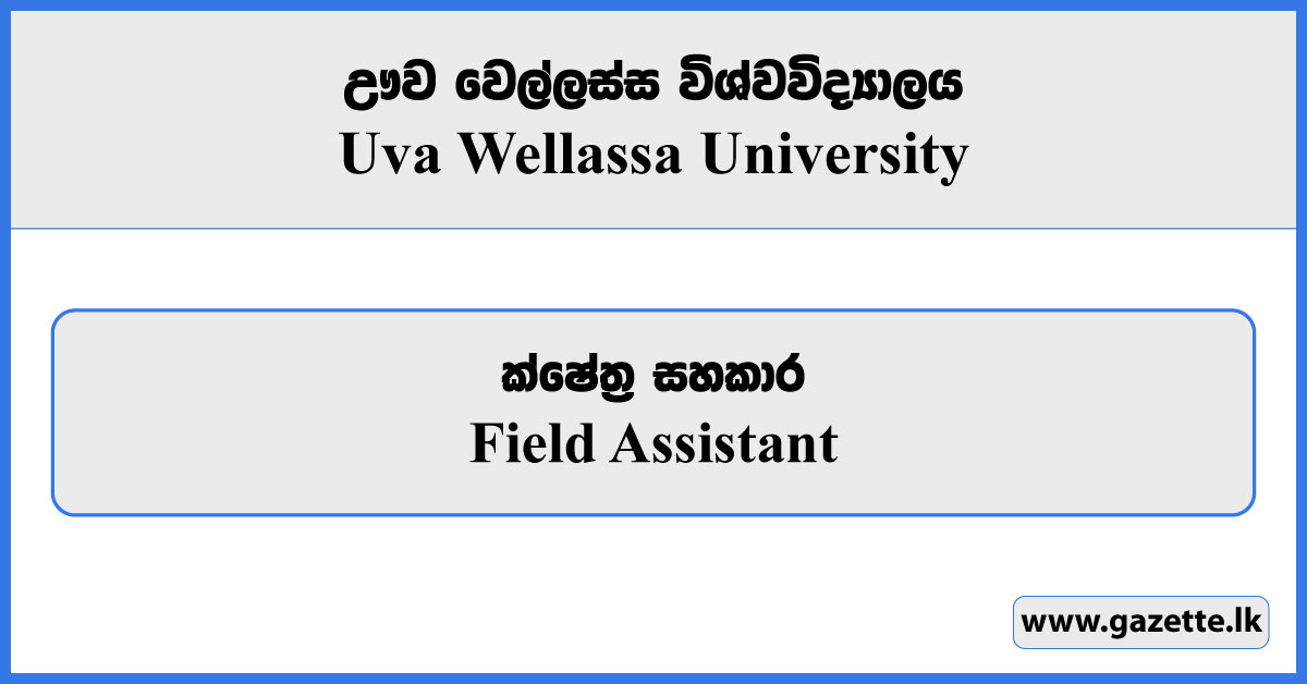 Field Assistant - Uva Wellassa University Vacancies 2024