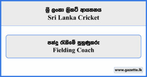 Fielding Coach - Sri Lanka Cricket Vacancies 2025