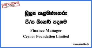Finance Manager - Ceynor Foundation Vacancies 2023