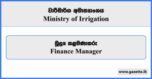 Finance Manager - Ministry of Irrigation Vacancies 2024