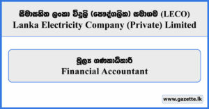 Financial Accountant - LECO Vacancies 2026