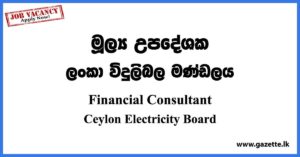Financial Consultant - Ceylon Electricity Board Vacancies 2023
