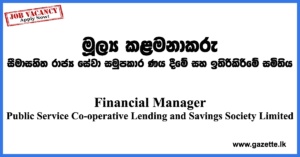 Financial Manager Vacancies