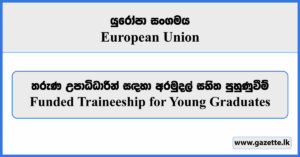 Funded Traineeship for Young Graduates - European Union Vacancies 2024