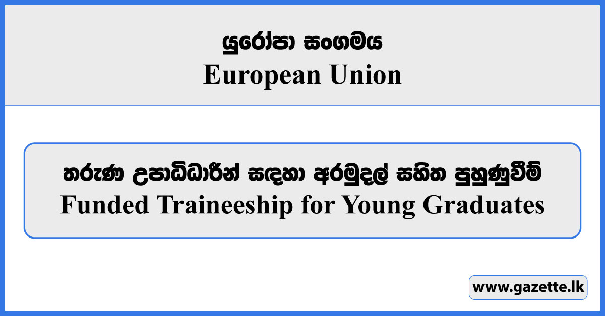 Funded Traineeship for Young Graduates - European Union Vacancies 2024