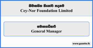 General Manager - Cey-Nor Foundation Limited Vacancies 2025