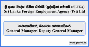 General Manager, Deputy General Manager - Sri Lanka Foreign Employment Agency (Pvt) Ltd Vacancies 2026