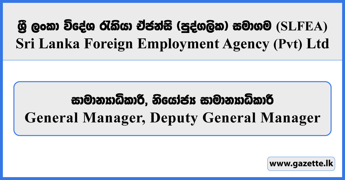 General Manager, Deputy General Manager - Sri Lanka Foreign Employment Agency (Pvt) Ltd Vacancies 2026