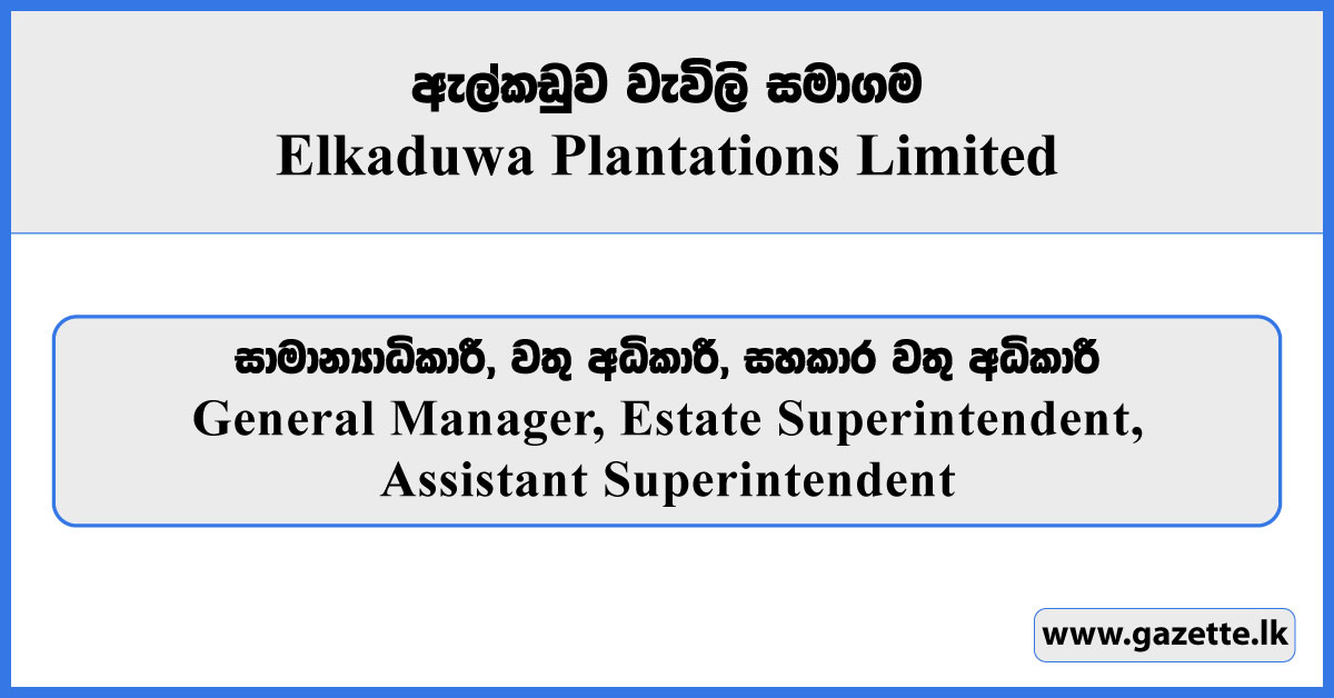 General Manager, Estate Superintendent, Assistant Superintendent - Elkaduwa Plantations Limited Vacancies 2025