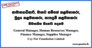 General Manager, Human Resources Manager - Ceynor Foundation Vacancies 2023