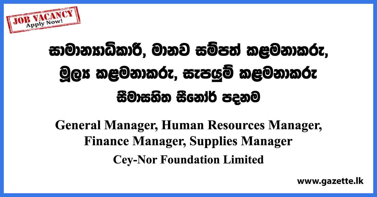 General Manager, Human Resources Manager - Ceynor Foundation Vacancies 2023