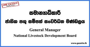 General Manager - National Livestock Development Board Vacancies 2023