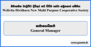 General Manager - Welivita Divithura New Multi Purpose Cooperative Society Vacancies 2025