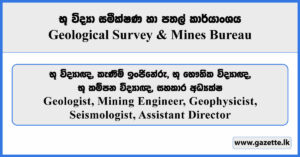 Geologist, Mining Engineer, Geophysicist, Seismologist, Assistant Director - Geological Survey & Mines Bureau Vacancies 2025