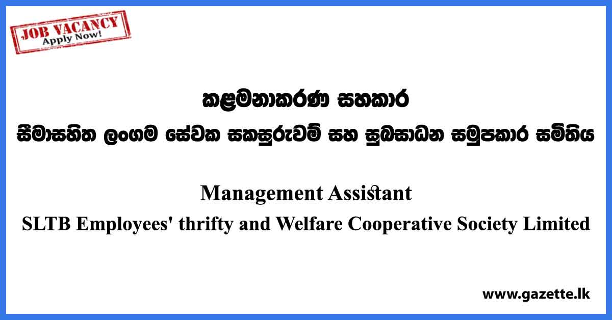 Management Assistant Vacancies in Government 2023