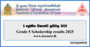 Grade 5 Scholarship Exam Results 2025