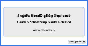 Grade 5 Scholarship Exam Results Released