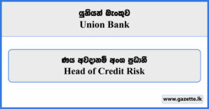 Head of Credit Risk - Union Bank Vacancies 2024