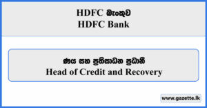 Head of Credit and Recovery - HDFC Bank Vacancies 2023
