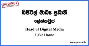 Head of Digital Media - Lake House Vacancies 2023