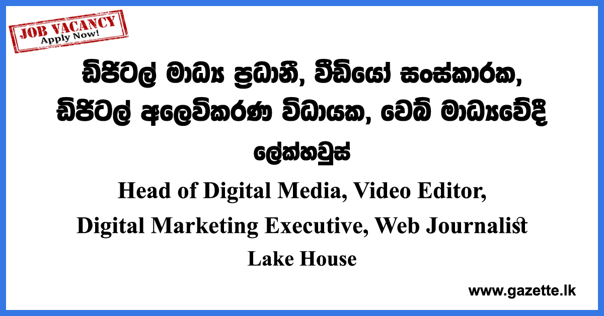 Head of Digital Media, Video Editor, Digital Marketing Executive, Web Journalist
