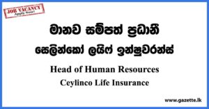 Head of Human Resources - Ceylinco Life Insurance Vacancies 2023