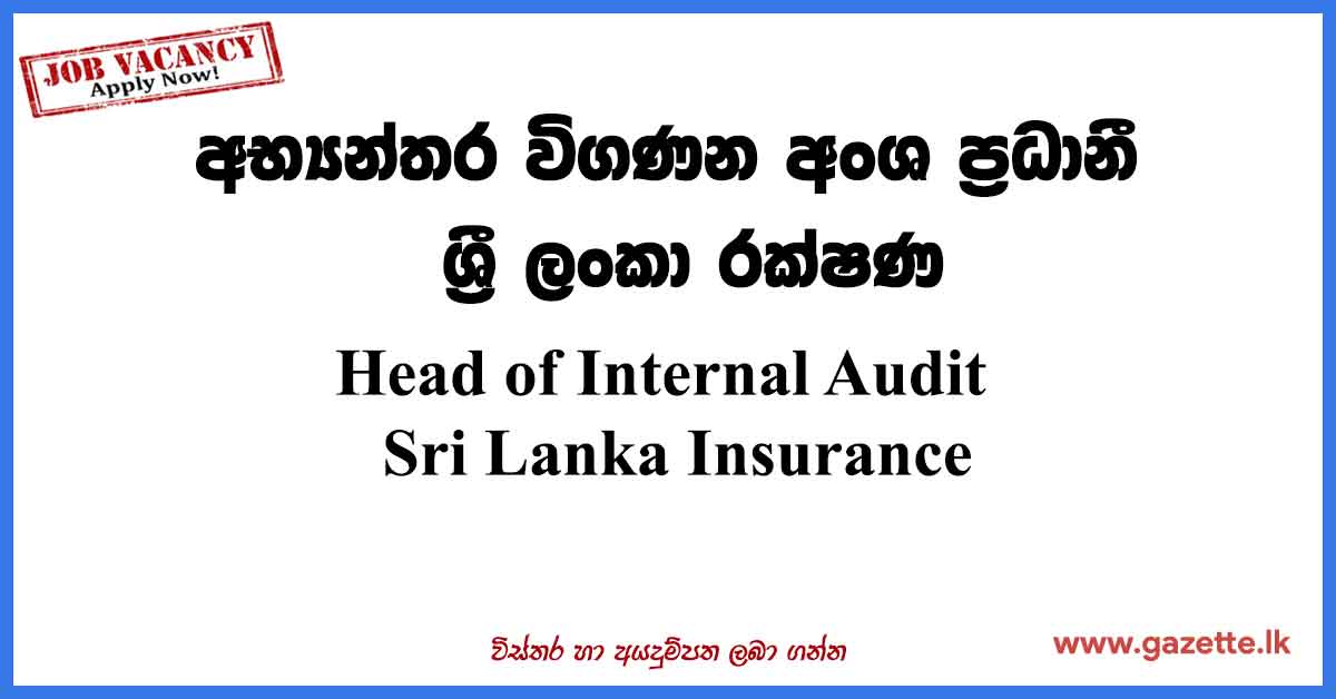 Head-of-Internal-Audit