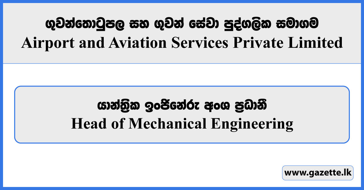 Head of Mechanical Engineering - Airport and Aviation Services Private Limited Vacancies 2025