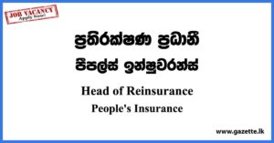 Head of Reinsurance - People's Insurance Vacancies 2023