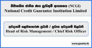 Head of Risk Management / Chief Risk Officer - National Credit Guarantee Institution Limited Vacancies 2026