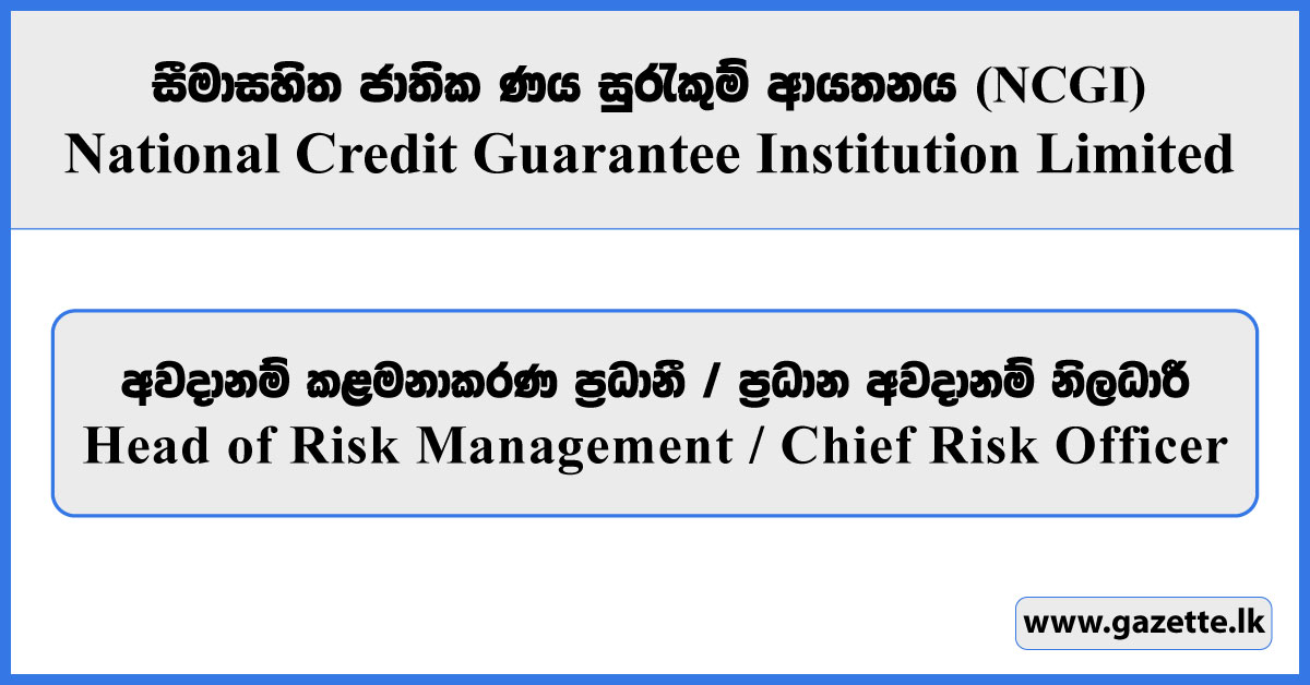 Head of Risk Management / Chief Risk Officer - National Credit Guarantee Institution Limited Vacancies 2026