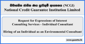 Consulting Services (Individual Consultant) - Hiring of an Individual as an Environmental Consultant to NCGIL 2026