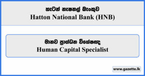 Human Capital Specialist - Hatton National Bank Vacancies 2024