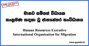 Human-Resources-Executive-IOM-UN-