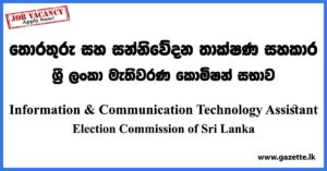 Information & Communication Technology Assistant