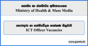 ICT Officer (HSEP) - Ministry of Health Vacancies 2026