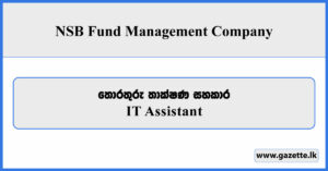 IT Assistant - NSB Fund Management Company Vacancies 2026