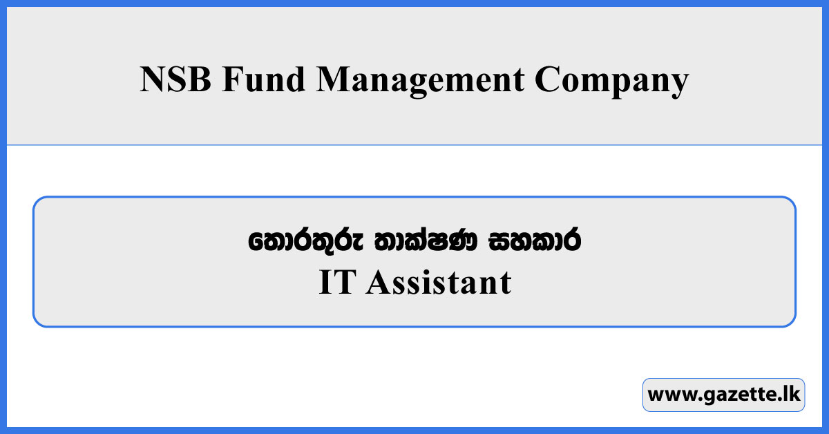 IT Assistant - NSB Fund Management Company Vacancies 2026