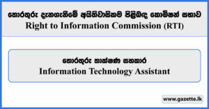 IT Assistant - Right to Information Commission Vacancies 2026