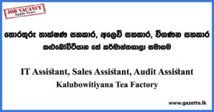 IT Assistant, Sales Assistant, Audit Assistant