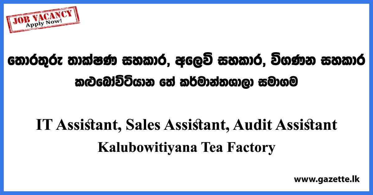 IT Assistant, Sales Assistant, Audit Assistant