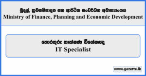 IT Specialist - Ministry of Finance, Planning and Economic Development Vacancies 2025