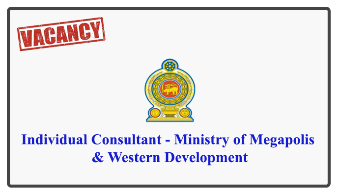Individual Consultant - Ministry of Megapolis & Western Development