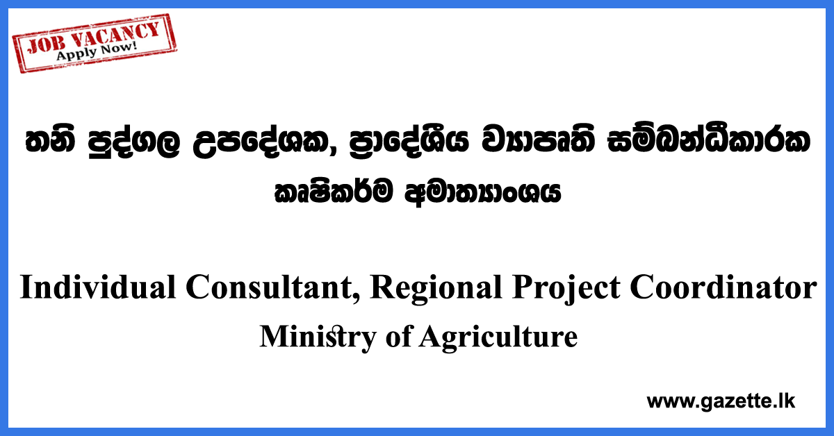 Individual Consultant, Regional Project Coordinator