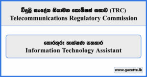 Information Technology Assistant - Telecommunications Regulatory Commission Vacancies 2026