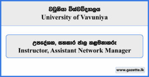 Instructor, Assistant Network Manager - University of Vavuniya Vacancies 2024