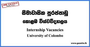 Internship Vacancies - University of Colombo Vacancies 2023